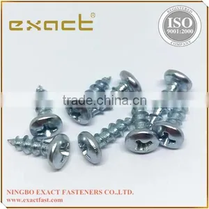 Self Tapping Screw Pan Head Phillips DIN7981 China Manufacturer thumbnail-2