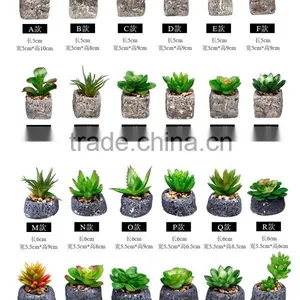 2016 Latest Design Artificial Succulent Pot Succulent Plants For Sale thumbnail-5
