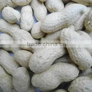 Honey Roasted Peanuts thumbnail-3