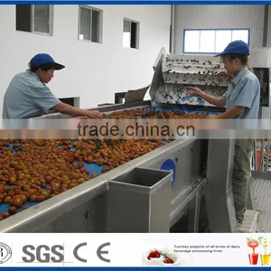 Chinese Date Juice Processing Line thumbnail-1
