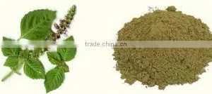 HERBAL TULSI POWDER thumbnail-2