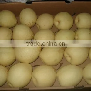 Fresh Pear thumbnail-1