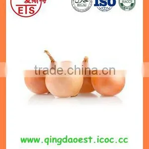 Export China Fresh Organic New Crop Red and Yellow Onion thumbnail-2