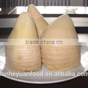 Good Quality Canned Bamboo Shoots Halves in Water thumbnail-4