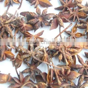 Star Aniseeds With Stems thumbnail-1