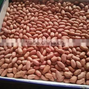 China Good Quality Oil Extractor Peanuts thumbnail-3