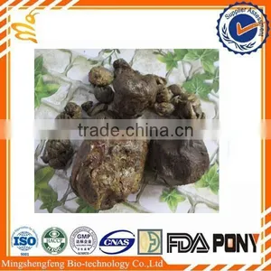 Best Raw Proplis With High Refined/refined Propolis thumbnail-1