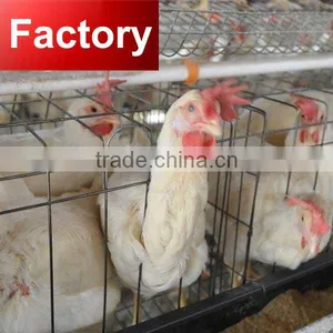 CHINA Feed Silo Poultry House Heat Exchanger thumbnail-1