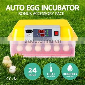 Best Selling Products Mini Automatic Egg Incubator/poultry Egg Incubator Chicken/automatic Egg Incubator(24eggs) thumbnail-1