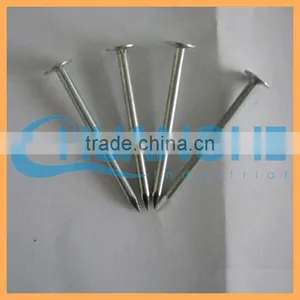 Manufacture High Quality Low Price c Shape Iron Nail thumbnail-5