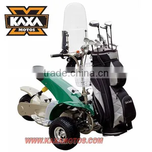 Electric Golf Cart 1000W thumbnail-1