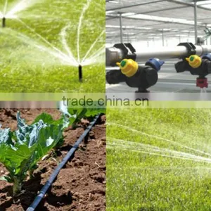 Selling Greenhouses Used for Plant Growth thumbnail-5