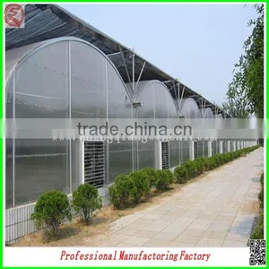 High Quality/best Selling Arched Type Multi-span Greenhouse for Garden thumbnail-1