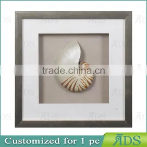 Chinese Nautilus Shells Graphic Art Shadow Box Gift Ideas Wall Decor thumbnail-3