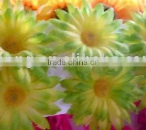 Simple Hair Flower/hair Accessory thumbnail-1