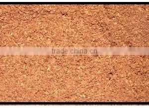 Coco Peat thumbnail-1
