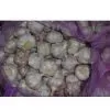 5.0cm Fresh Red Garlic thumbnail-1