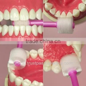 Japan 360 Degree Toothbrush Japanese Version For Baby ( White ) Wholesale thumbnail-3
