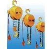 DHP Electric Hoist thumbnail-1