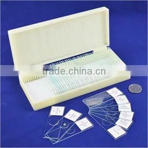 100pcs Human Histology Microscope Prepared Slides From Factory thumbnail-1