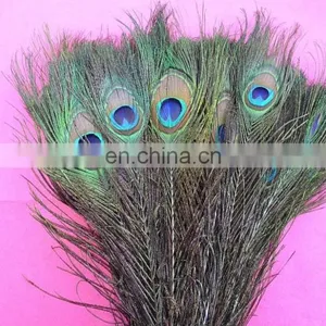 Factory Directly Sale Wholesale Top Quality Peacock Feathers in Stock thumbnail-3
