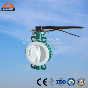 Wafer Lug PTFE/PCTFE/FEP/PFA Lined Butterfly Valve (GAD71F) thumbnail-1