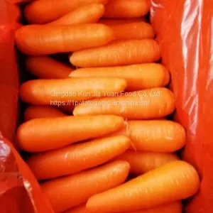 Fresh Carrots thumbnail-2