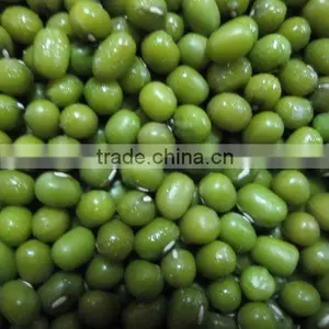 Green Mung Bean (organic/conventional) thumbnail-1