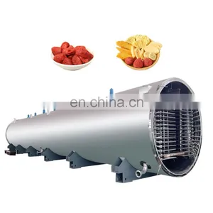 Vacuum Freeze Dry Lyofilising Machine Lyophilized Pineapple Powder thumbnail-1