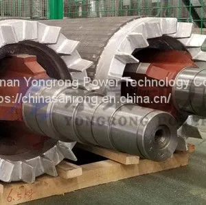 Aluminum Casting Rotor Wound Assembly With Shaft thumbnail-2
