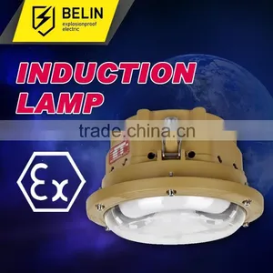 SBF6109 Electrodeless Dome Light for Sale thumbnail-1