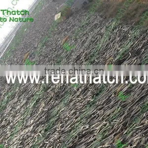Plastic Clay Roof Tile, Fiberglass Reinforced Plastic Tiles thumbnail-1