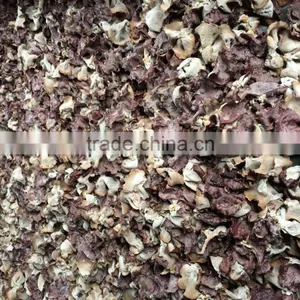 IQF Black Fungus thumbnail-3