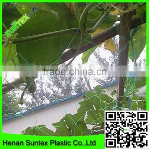 Heavy Duty Long-lasting Flexible Trellis Netting Polyester Net Plant Support Net thumbnail-5