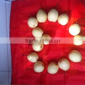 New Crop Year Pear Sweet Crisp on the Market thumbnail-4