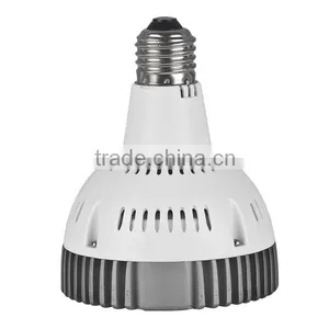 PAR 30 Plat Light Led 54 3w Par Light thumbnail-2