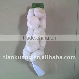 6cm Pure White Garlic thumbnail-1