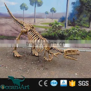 OAV2432 Dig Dinosaur Fossil Replica Real Dinosaur Fossils thumbnail-4