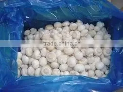 Frozen Nameko Mushrooms Healthy and High Quality thumbnail-2