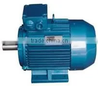 Y2 SERIES ELECTRIC MOTOR thumbnail-1