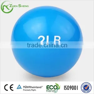 ZHENSHENG Sand Filled Weight Ball Medicine Ball thumbnail-1