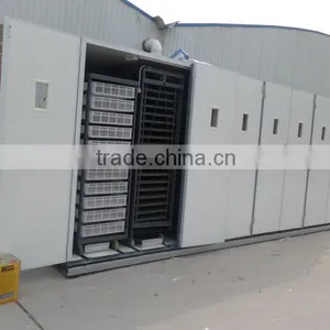 50000 Eggs Incubator Full Auto/50688 Chicken Egg Incubator/ZH-50688 Poultry Incubator thumbnail-4