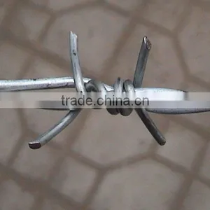 Barbed Wire thumbnail-1