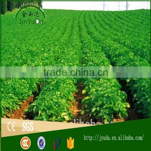 Factory Good Quality Best Price Labyrinth Drip Tape for Farm thumbnail-4
