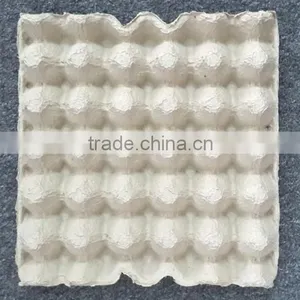 EGG TRAY 30 thumbnail-5