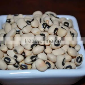 Black Eyed Beans New Crop thumbnail-2