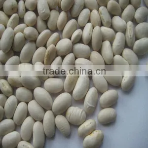 White Kidney Bean for Sale thumbnail-5