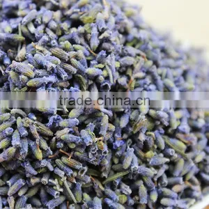 2015 Harvest Dried Lavender Flower,Dried Lavender Tea,China Herb Tea thumbnail-4