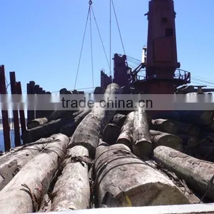 Worldwide Shipping of Any Commodies( Coal, Iron Ore, Cement, Fertilisers, Salt, Containers, Steel, Grain, Coke, Scrap, Timber,) thumbnail-1