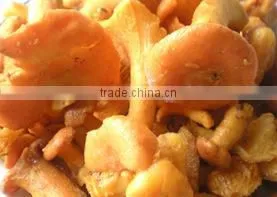 Frozen Grade A Chanterelles Mushrooms thumbnail-1